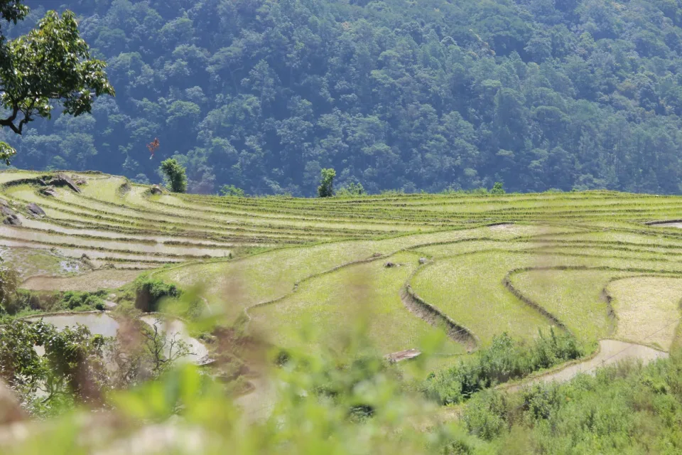 Kho gạo và khu phân loại